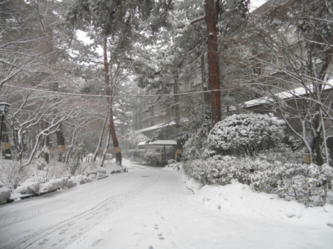 また大雪らしいです