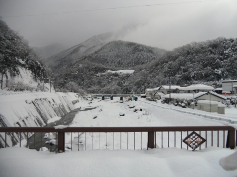 大雪物凄いです