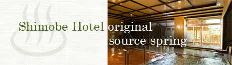 Shimobe Hotel original source spring