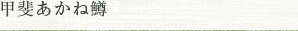 甲斐あかね鱒