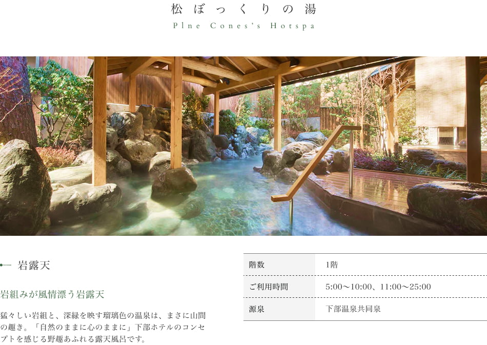 松ぼっくりの湯 岩露天