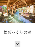 松ぼっくりの湯