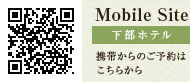 Mobile Site ze gт̂\͂炩